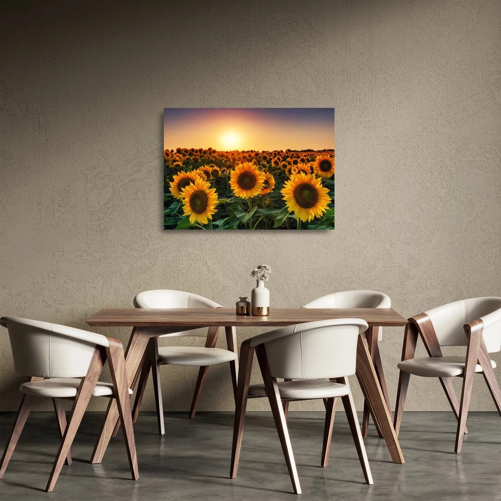 Tablou pe sticlă - Floarea soarelui (70x50 cm)