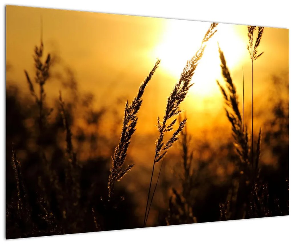 Tablou - Apus de soare (90x60 cm)