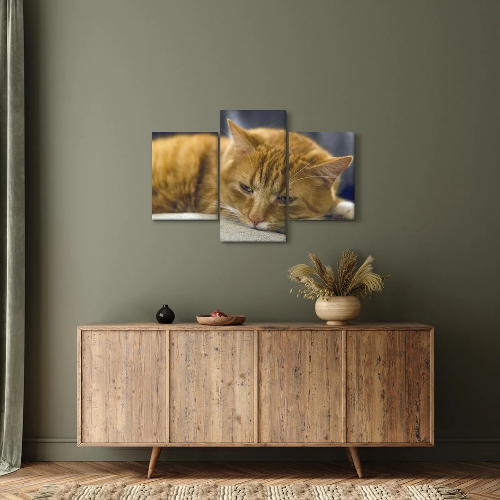 Tabloul pisicii (90x60 cm)