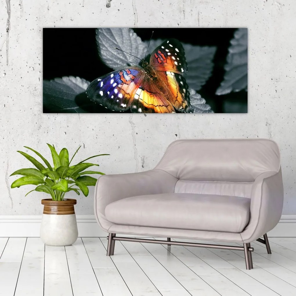 Tablou cu fluture (120x50 cm)