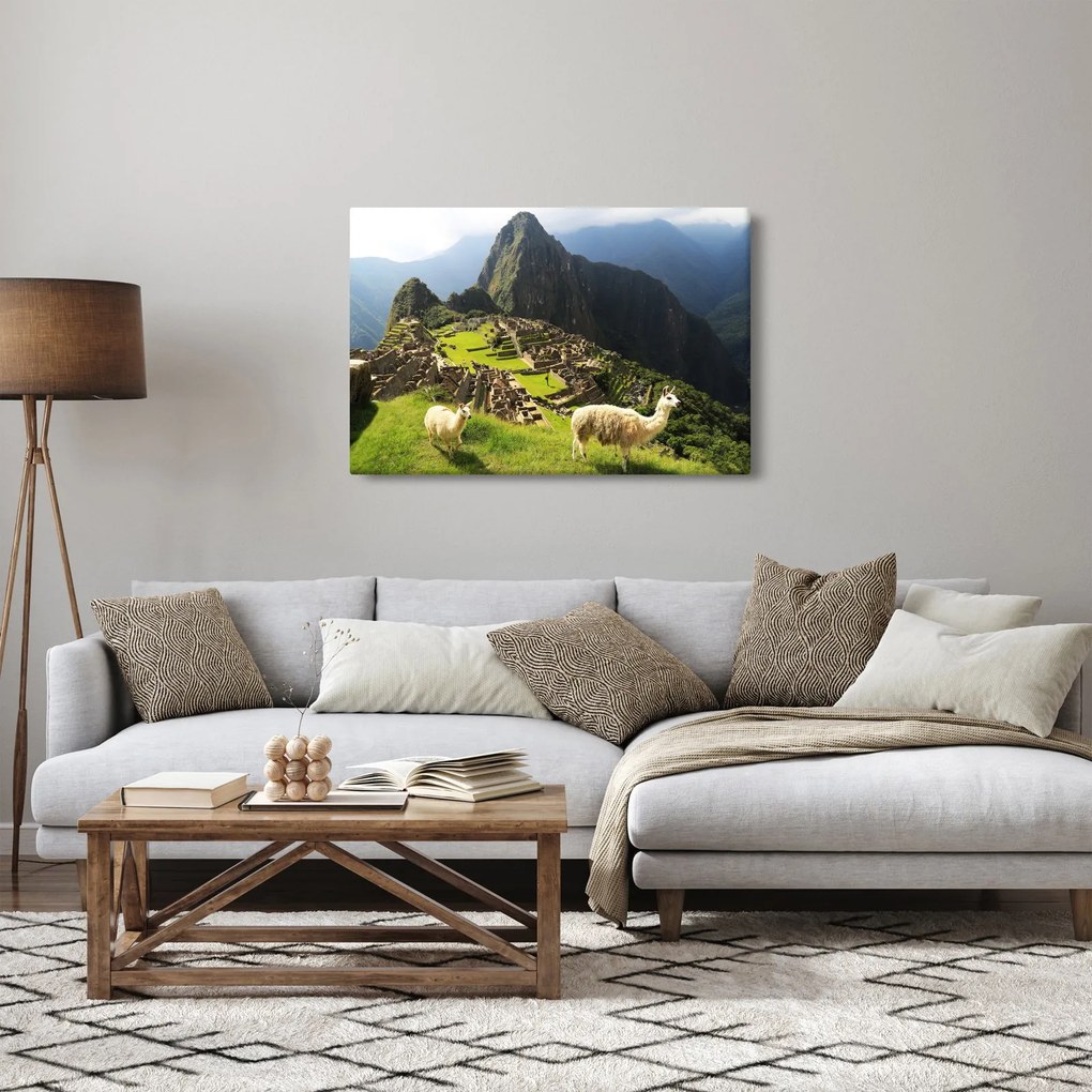 Tablou - Lame in Machu Picchu (90x60 cm)