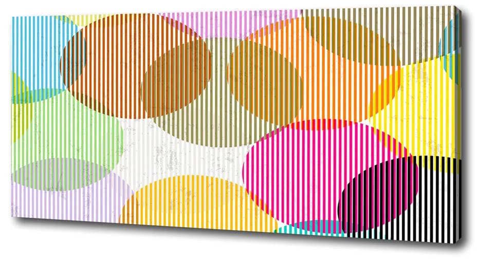 Tablou canvas Cercuri colorate