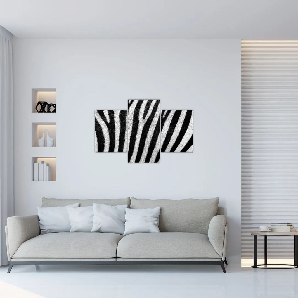 Tablou cu piele de zebră (90x60 cm)