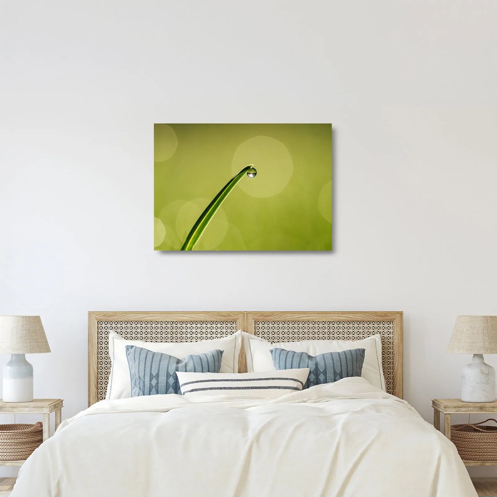 Tablou pe sticlă cu picătură de apă pe iarbă (70x50 cm)