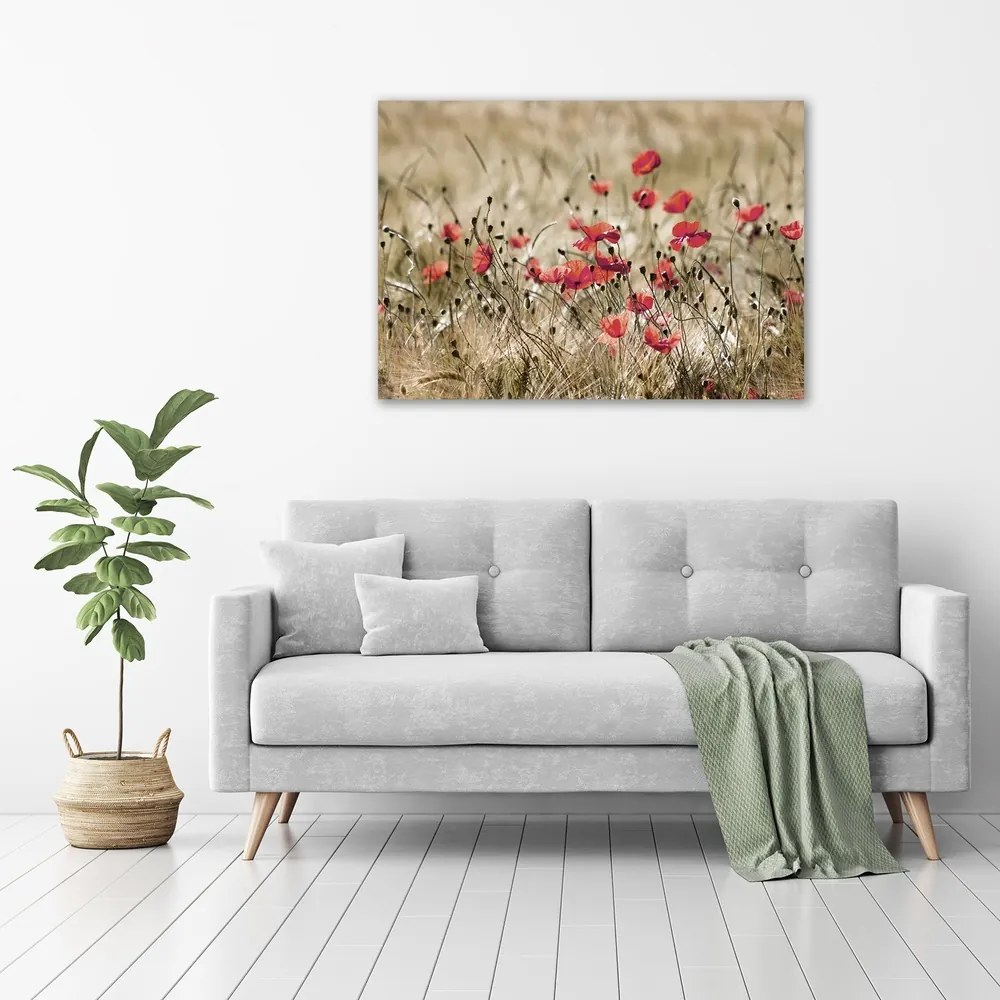 Tablou pe pânză canvas Maki
