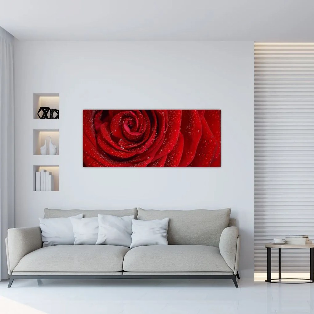 Tablou - detaliu de trandafir (120x50 cm)
