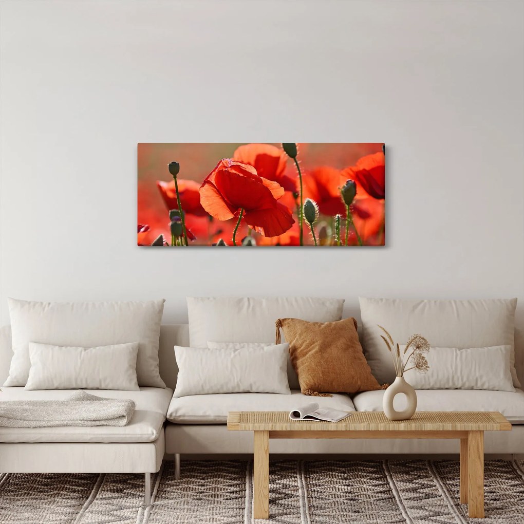 Tablou cu flori de maci (120x50 cm)