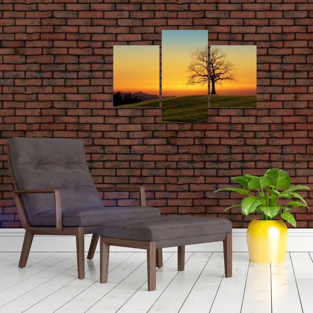 Tablou - Copacul în câmp (90x60 cm)