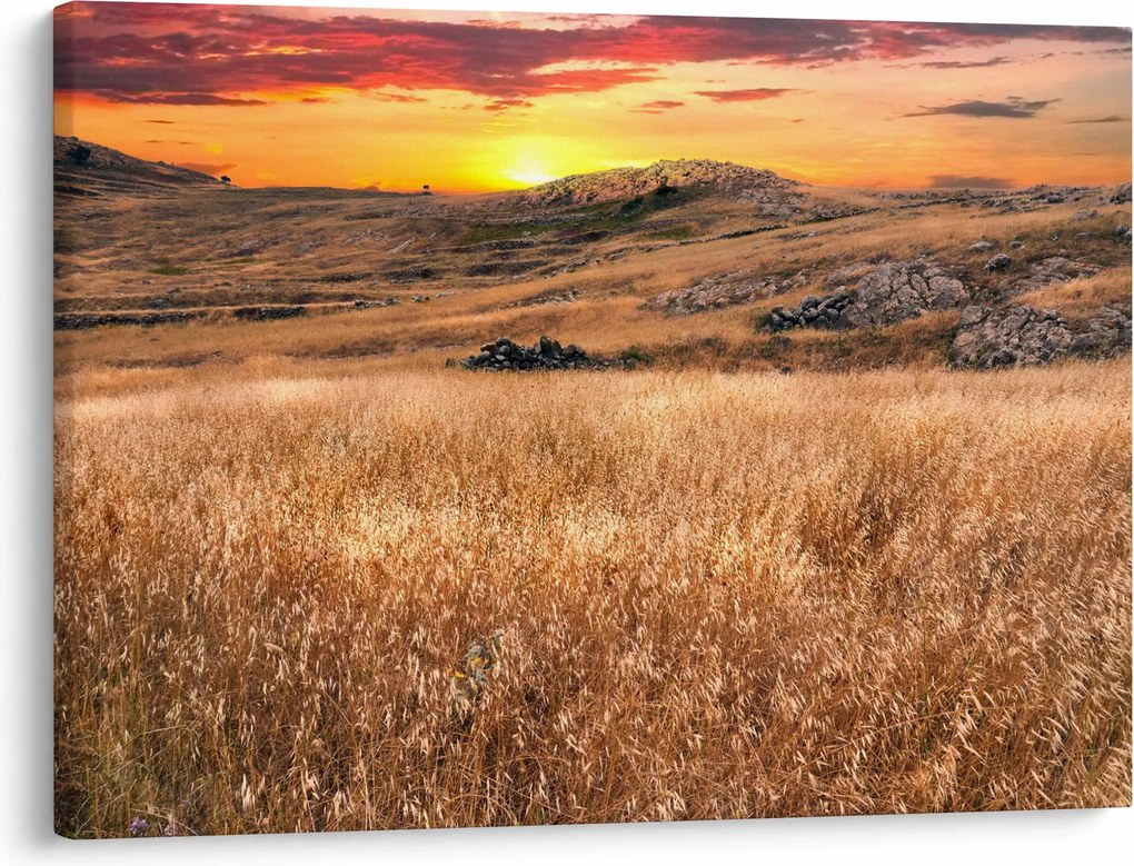 Tablou cu câmp (70x50 cm)