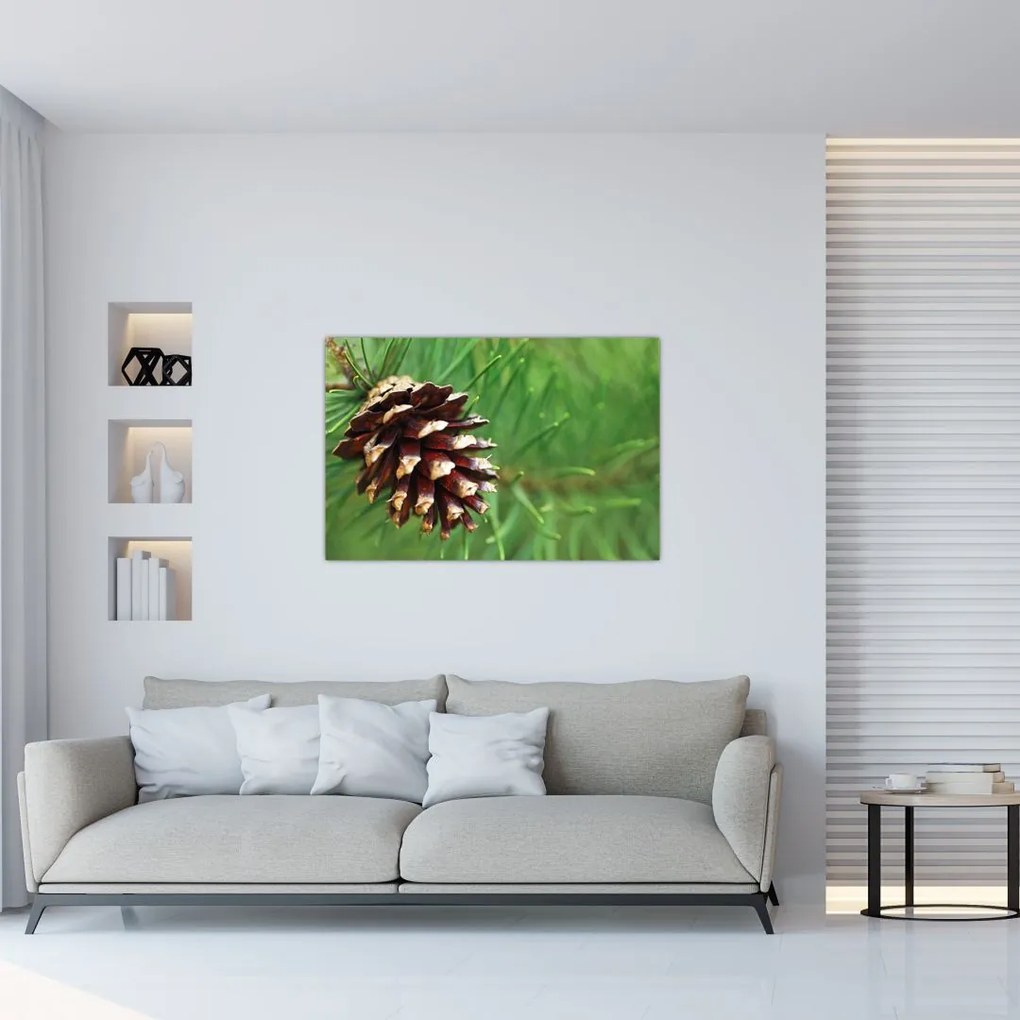 Tablou cu con (90x60 cm)