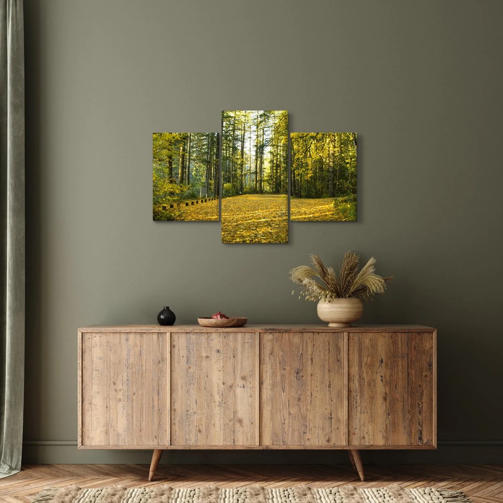 Tablou - pădurea toamna (90x60 cm)