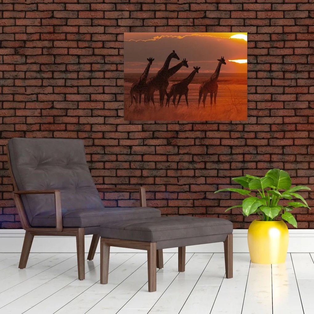 Tablou pe sticlă - Girafe în savana africană (70x50 cm)