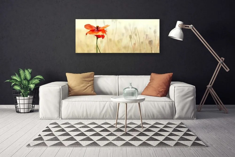 Tablou pe panza canvas Poppy Floral Roșu Verde