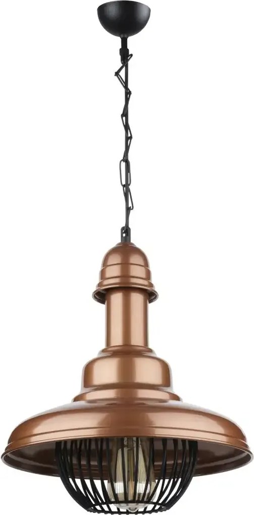 Lustra  homs ro11443