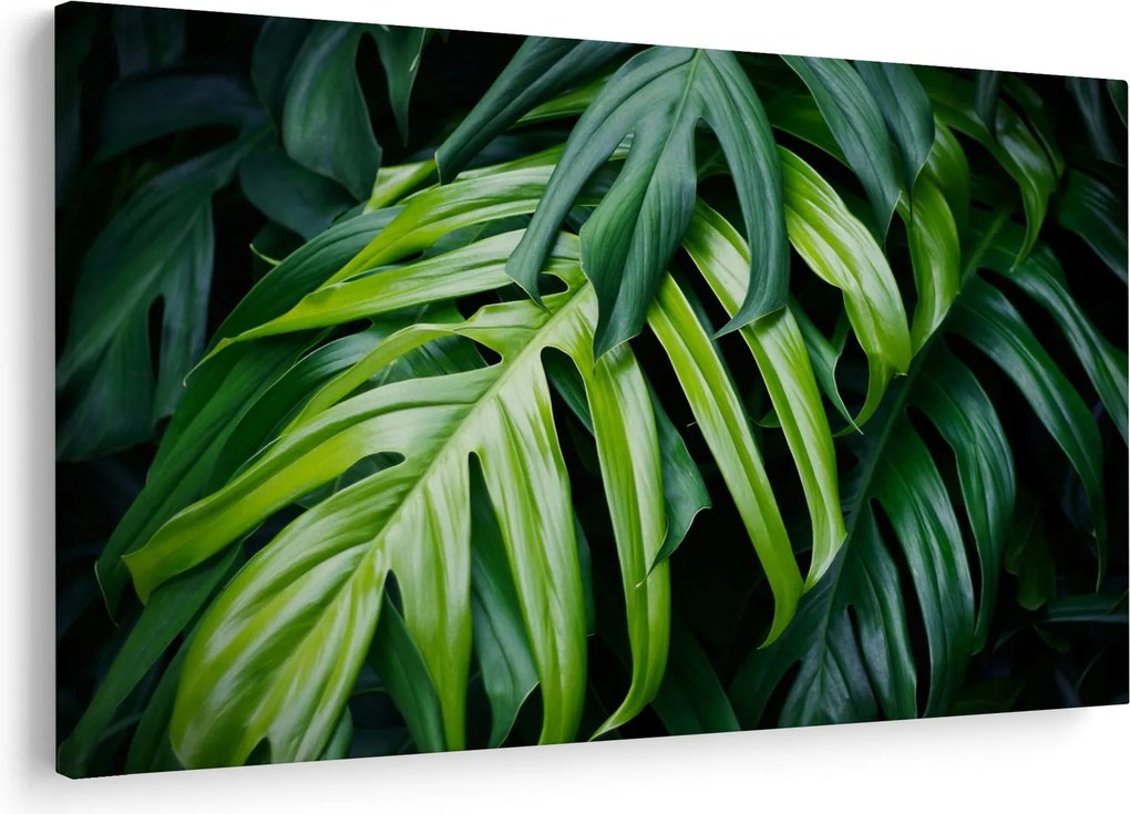 Tablou - Frunze tropicale (90x60 cm)