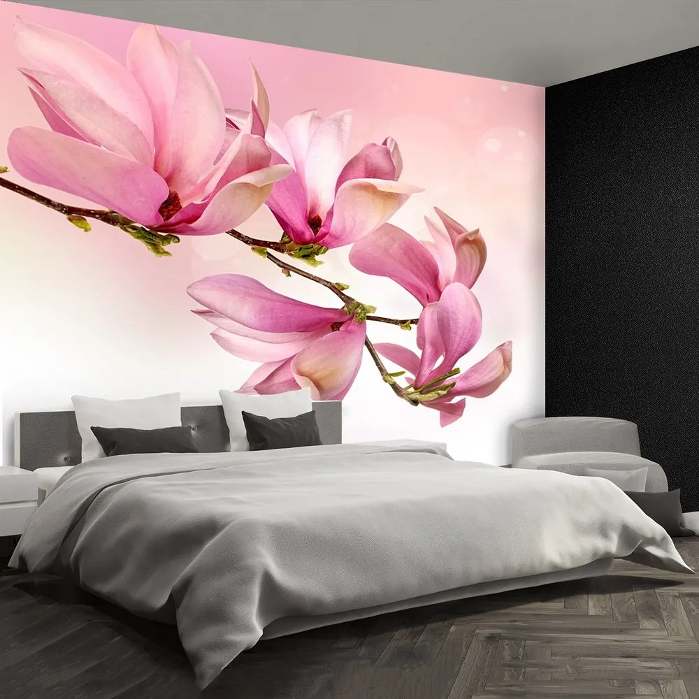 Fototapet Magnolie