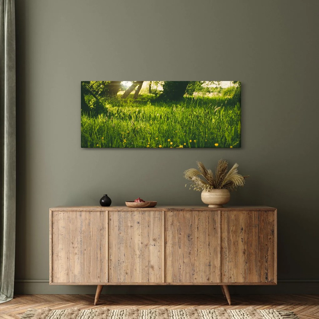Tablou cu natura - lunca (120x50 cm)