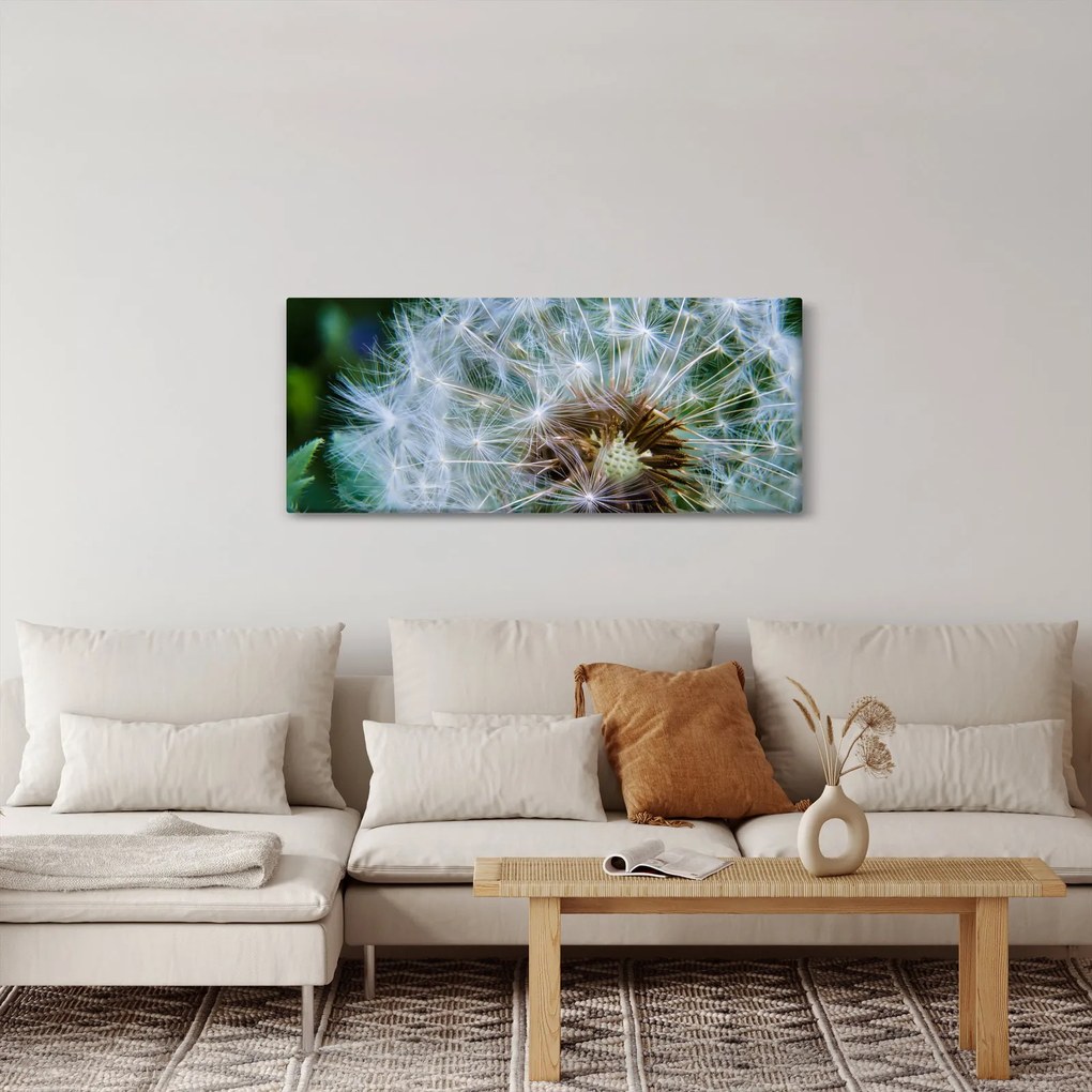 Tabloul cu păpădie desflorit (120x50 cm)