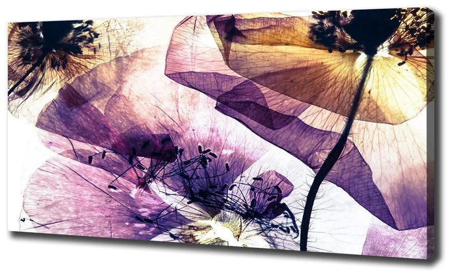 Print pe canvas Maci uscate
