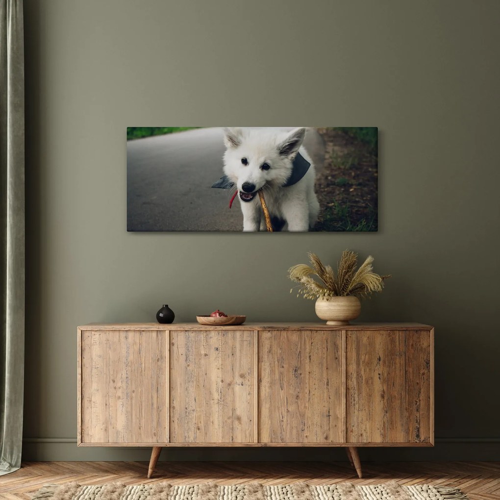 Tablou cu câinele alb (120x50 cm)