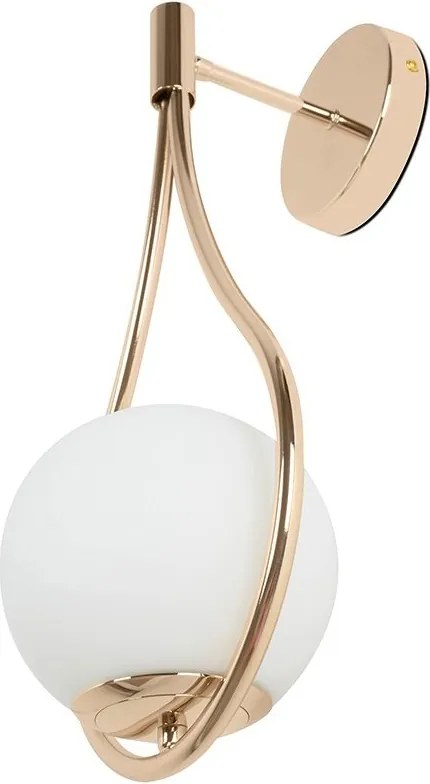 Aplica de perete moderna LED ROMA