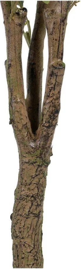 Eucalipt artificial (înălțime 173 cm) Eucalyptus – Ixia