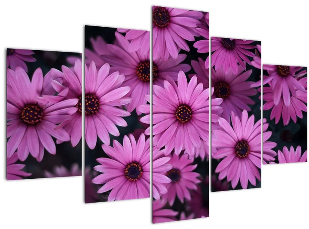 Tablou cu florile roz (150x105 cm)