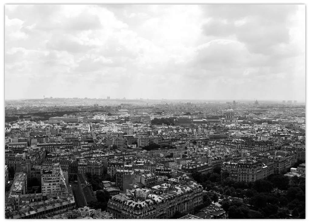 Tablou - Acoperișuri clădirilor din Paris (70x50 cm)