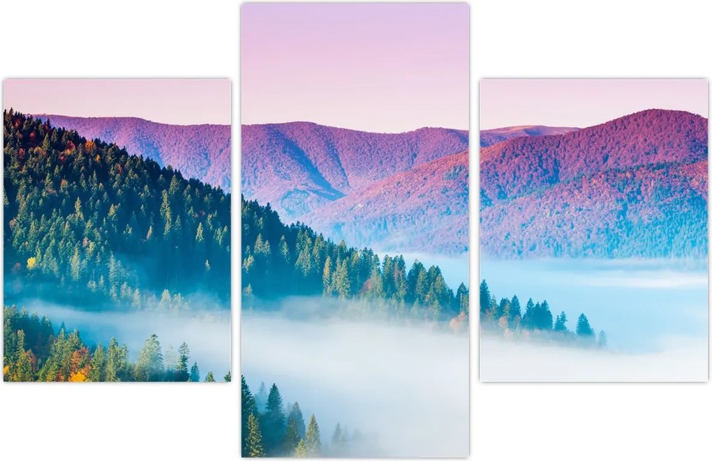 Tablou - Panoramă 2 (90x60 cm)