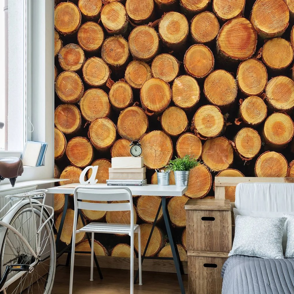 Fototapet - Lemn (152,5x104 cm)