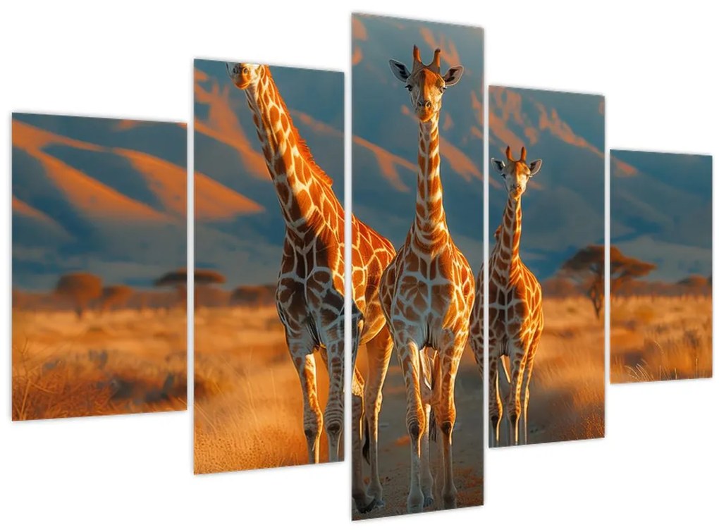 Tablou - Girafe pe pășune (150x105 cm)