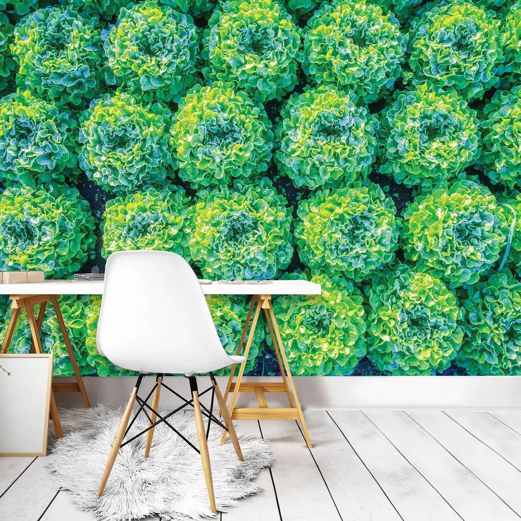 Fototapet - Salată (152,5x104 cm)