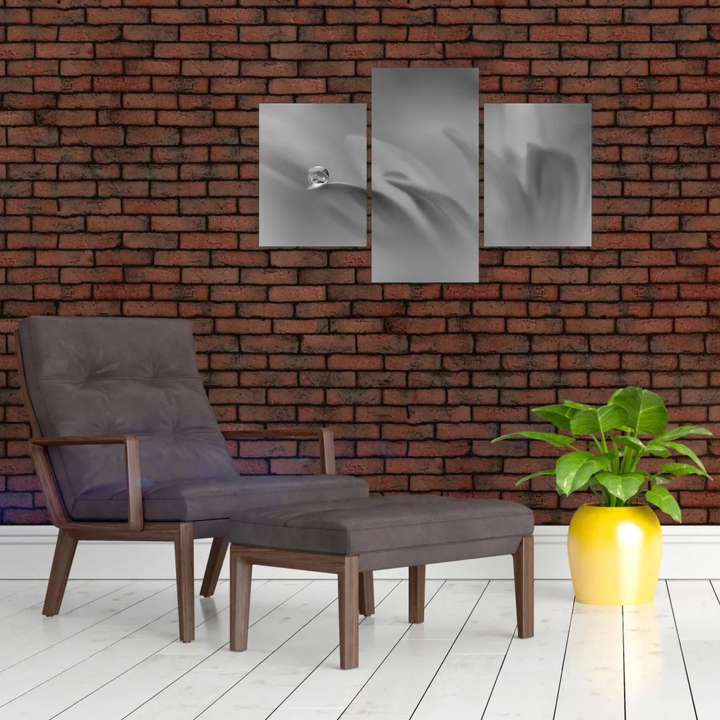 Tablou - Picătură pe floare,alb-negru (90x60 cm)