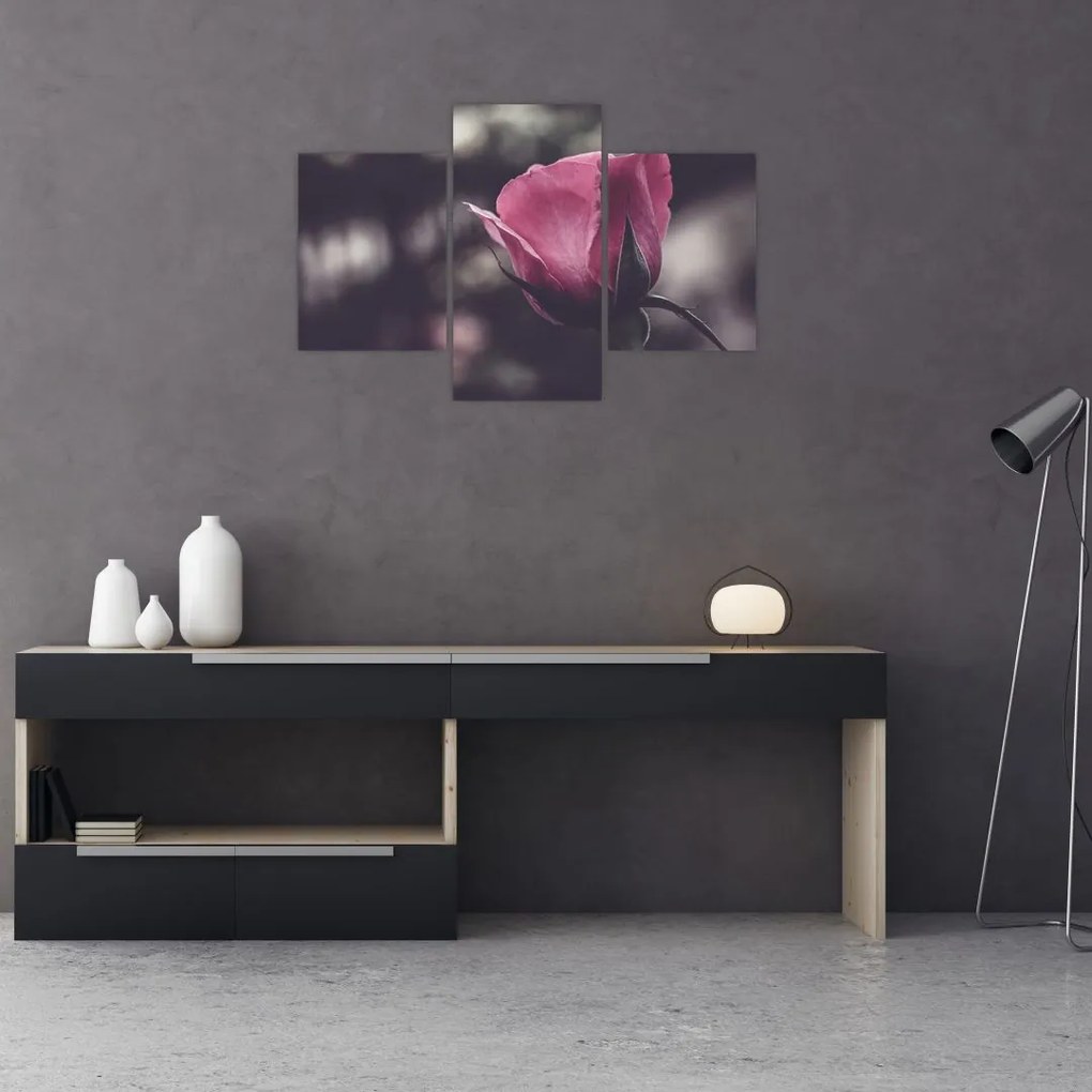 Tablou - Detaliu florii de trandafir (90x60 cm)