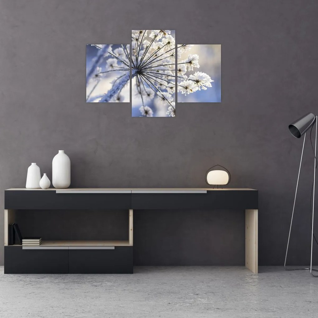 Tablou - Flori înghețate (90x60 cm)
