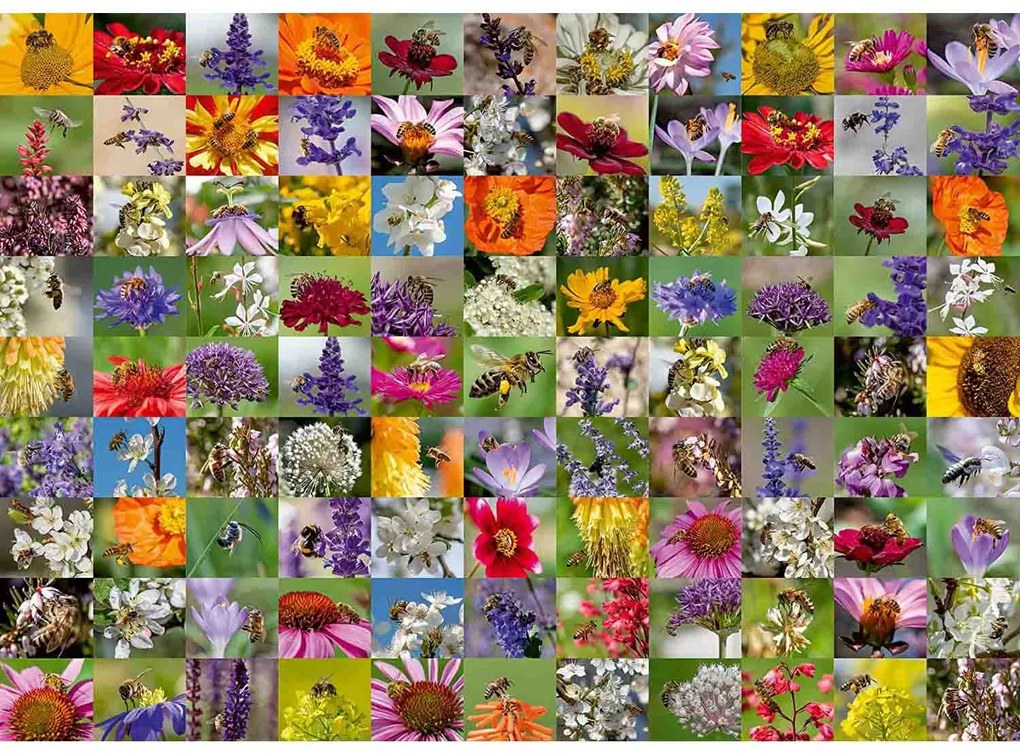PUZZLE COLAJ CU ALBINE SI FLORI, 1000 PIESE - RAVENSBURGER (RVSPA17386)