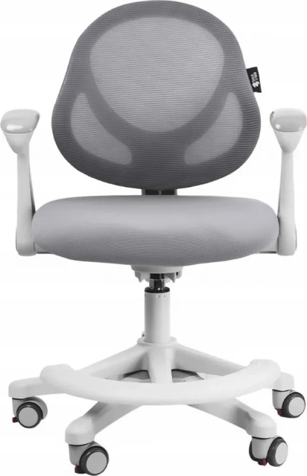 FlexGrow Junior YB1059 - Scaun Ergonomic pentru Copii, spatar reglabil, cotiere reglabile, inaltime reglabila, suport picioare ajustabil, Mesh, Gri