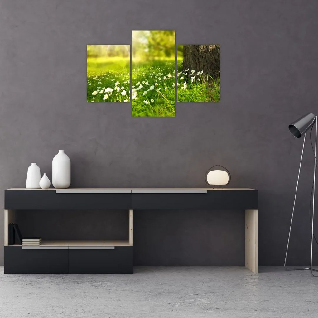 Tablou cu poiana și flori (90x60 cm)