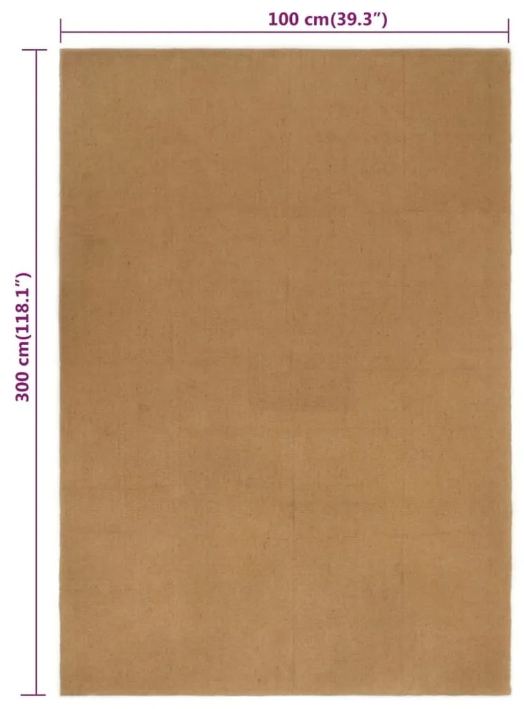 Covor traversa dreptunghiular, 100x300 cm, iuta 100 x 300 cm