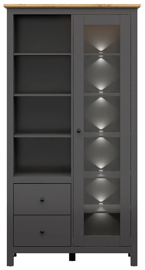 Vitrină Hesen REG1W2S/20/11 (cu iluminat LED) (grafit + Stejar artisan). 1062527