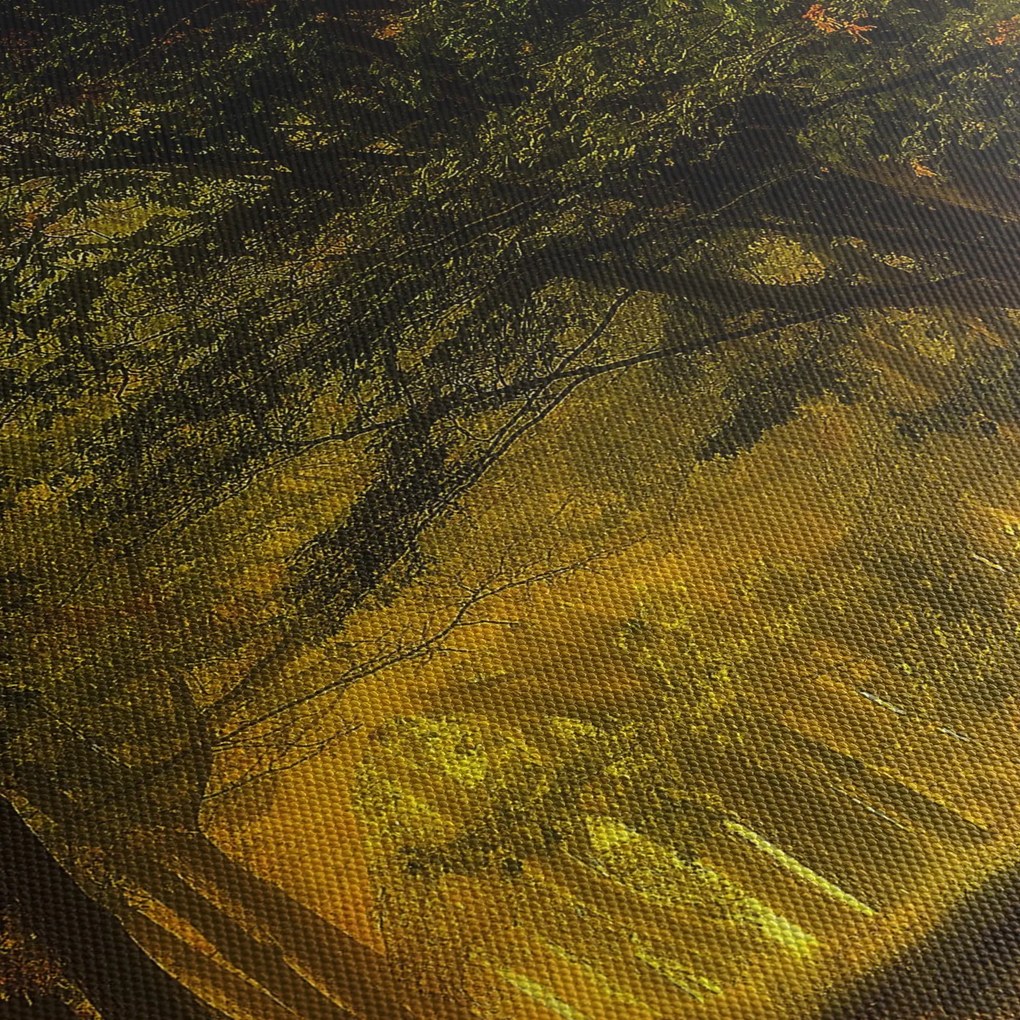 Tablou cu pădure (150x105 cm)