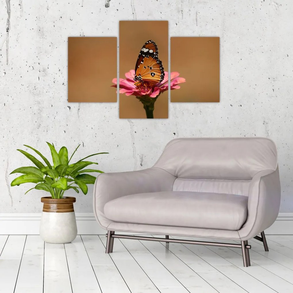 Tablou cu fluture pe floare (90x60 cm)
