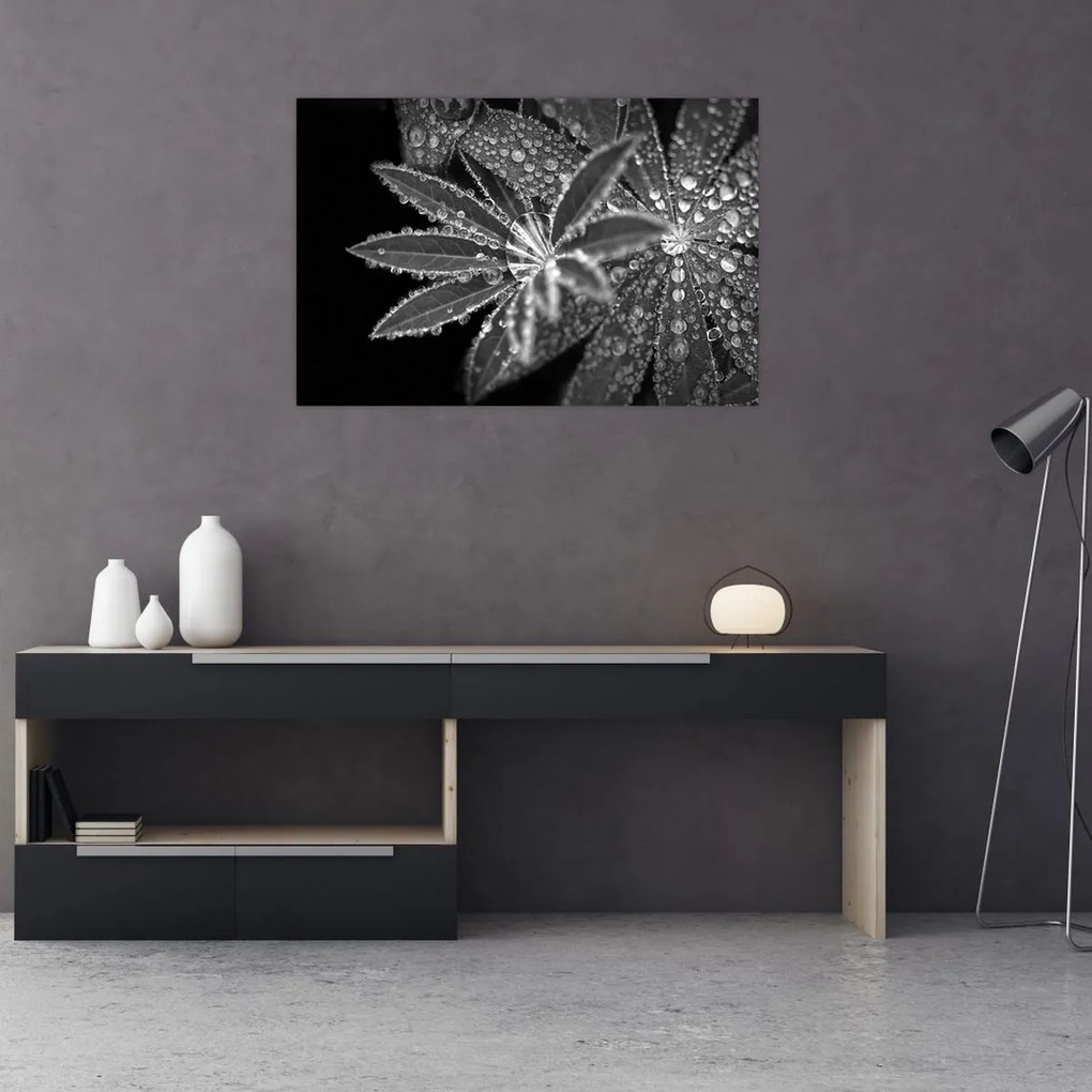 Tablou - Picături (90x60 cm)