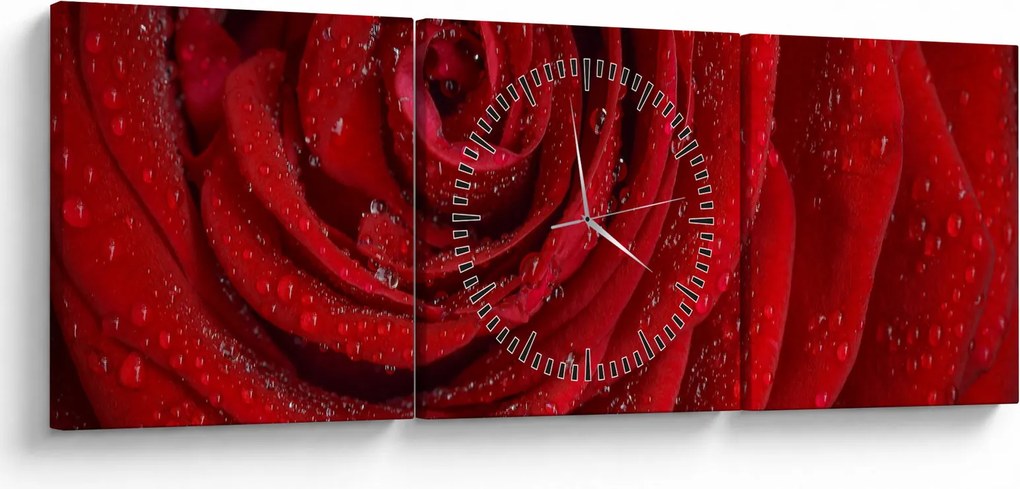 Tablou - detaliu de trandafir (cu ceas) (90x30 cm)