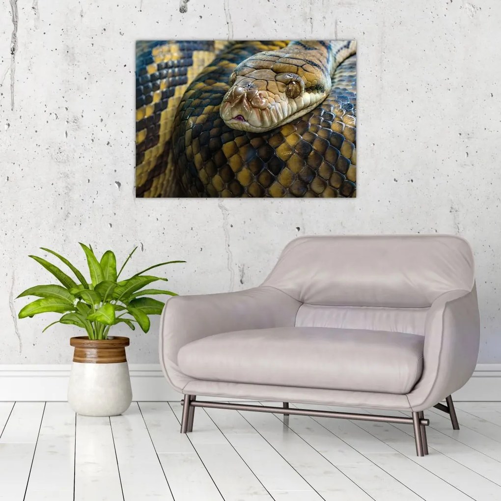 Tablou - Piton (70x50 cm)