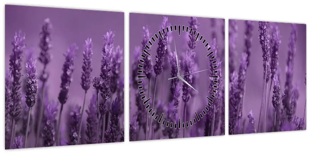 Tablou - Lavanda (cu ceas) (90x30 cm)