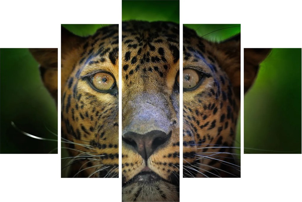 Tablou - Portretul leoparduslui, Sri Lanka (150x105 cm)