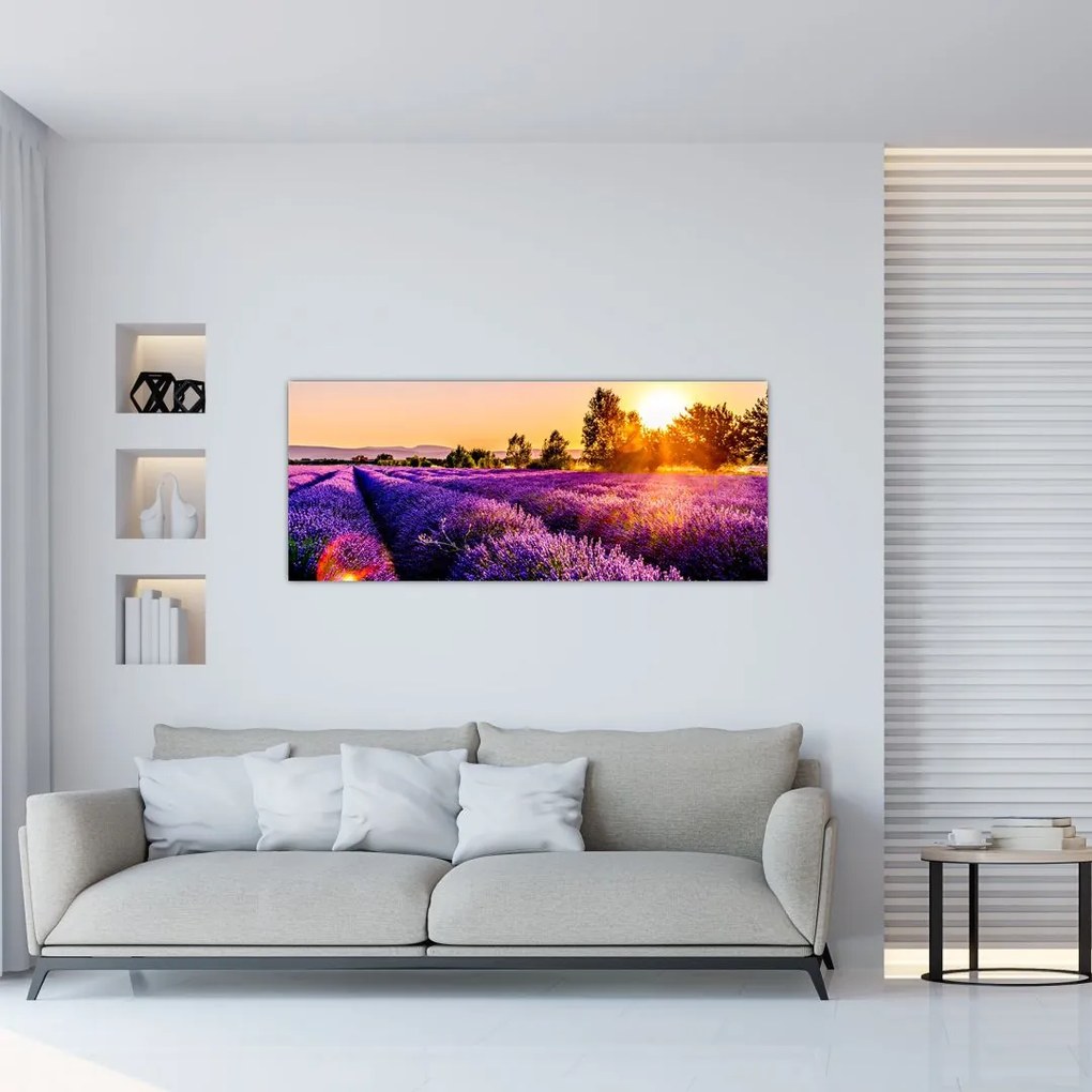 Tablou cu câmp de lavandă (120x50 cm)