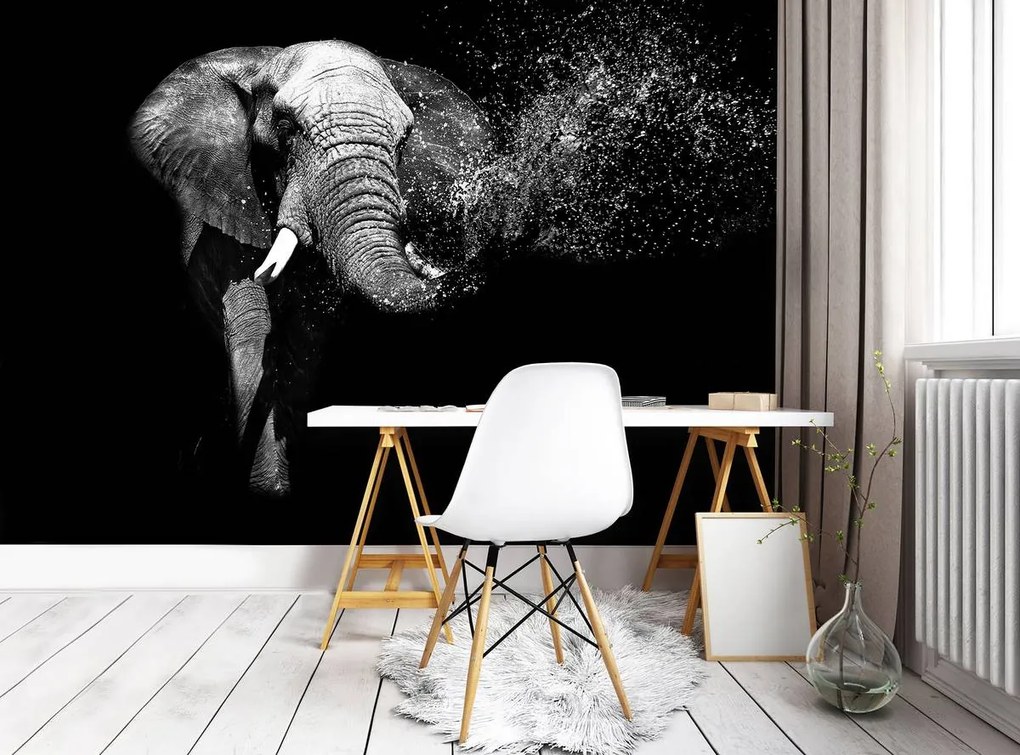 Fototapet - Elefant (254x184 cm)