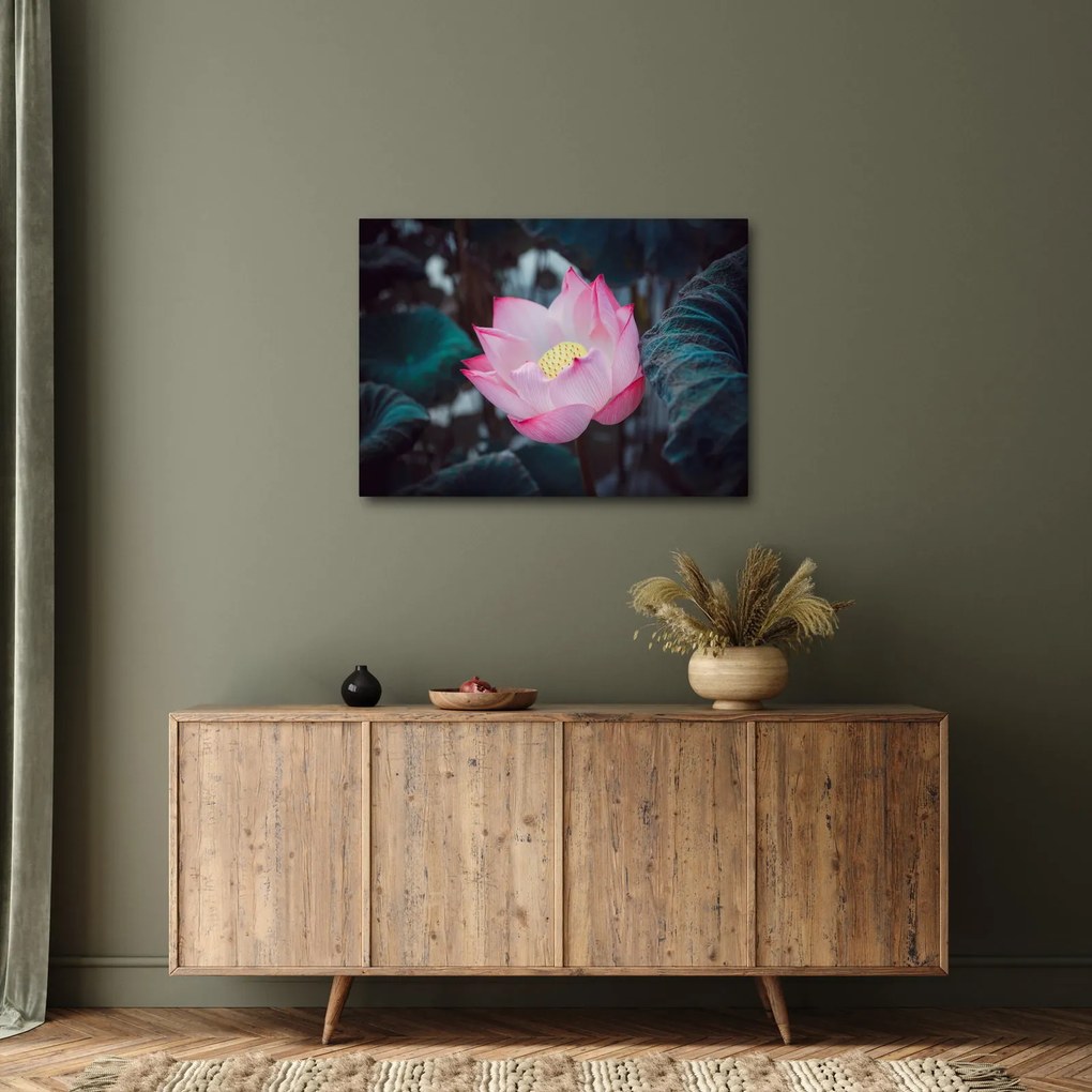 Tablou cu floare roz (70x50 cm)